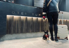 Отели TURKUS в Польше Белосток